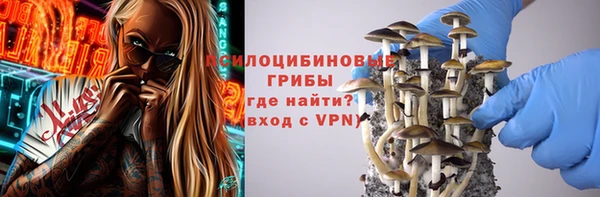 мяу мяу мука Богданович