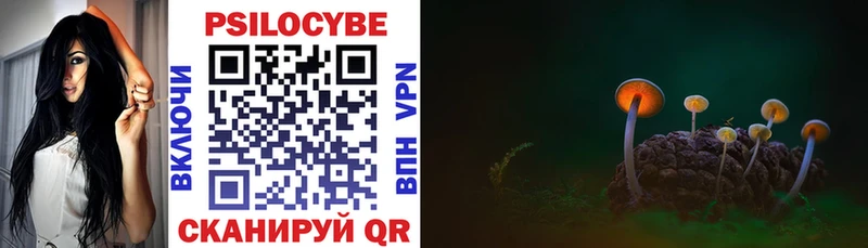 Купить закладки  Сасово  Галлюциногенные грибы Cubensis 
